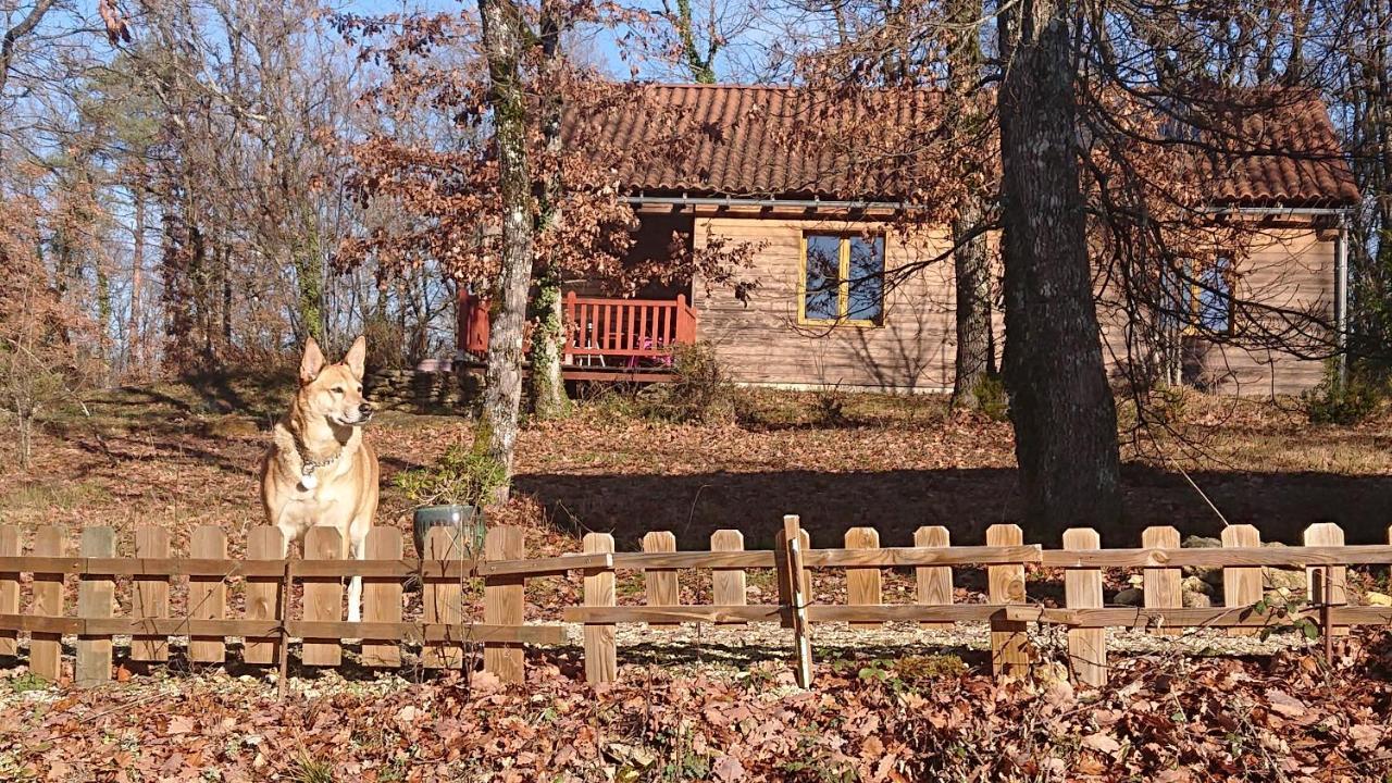 Le Village Enchanteur La Chapelle-Aubareil Exteriér fotografie