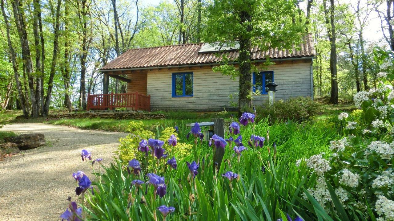 Le Village Enchanteur La Chapelle-Aubareil Exteriér fotografie
